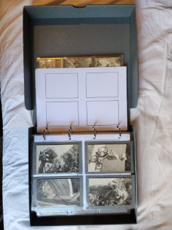 27bd11dd e611 4983 969e 27e5acdbef4e2